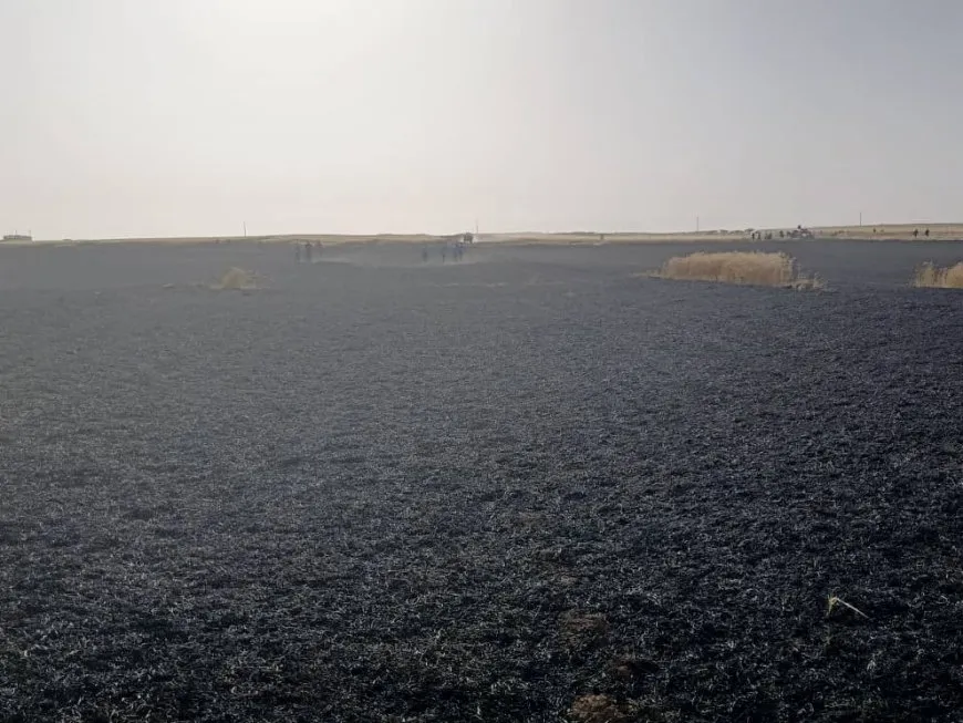 Los bomberos extinguen un incendio en campos de trigo en Çilaxa