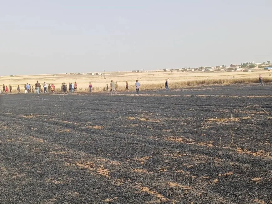 Los bomberos extinguen un incendio en campos de trigo en Çilaxa