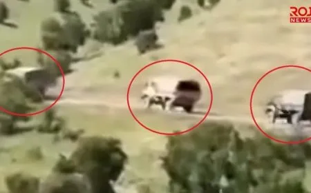 Movimientos militares turcos en el sur del Kurdistán