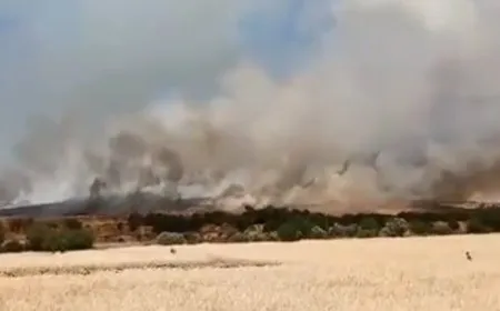 Los ocupantes turcos queman los campos de Manbij