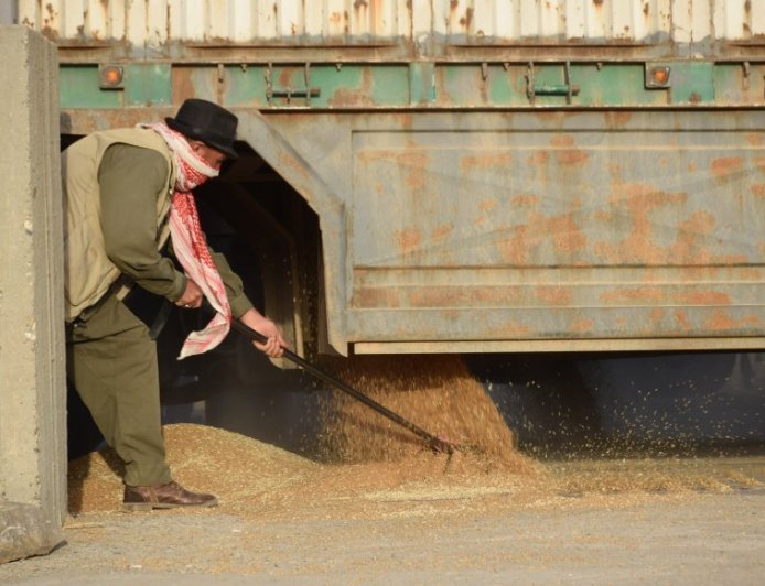 DAA: 20 mil toneladas de trigo recibidas hasta ahora