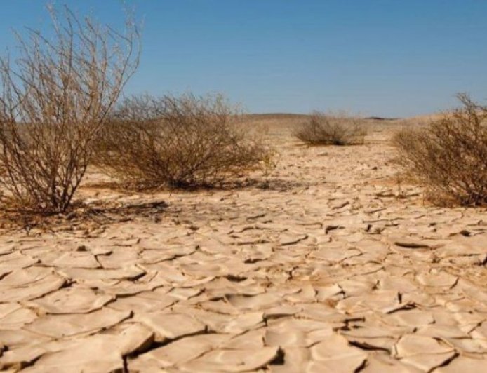 La desertificación es un dilema al que se enfrenta nuestro planeta