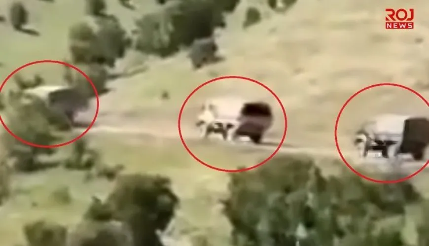 Movimientos militares turcos en el sur del Kurdistán