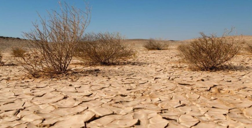 La desertificación es un dilema al que se enfrenta nuestro planeta