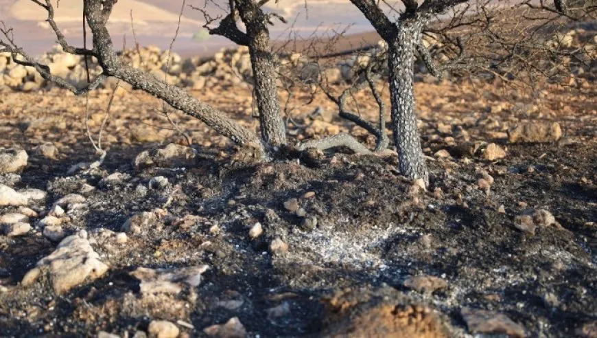 Un gran incendio entre Amed y Mêrdîn: 5 muertos y decenas de heridos