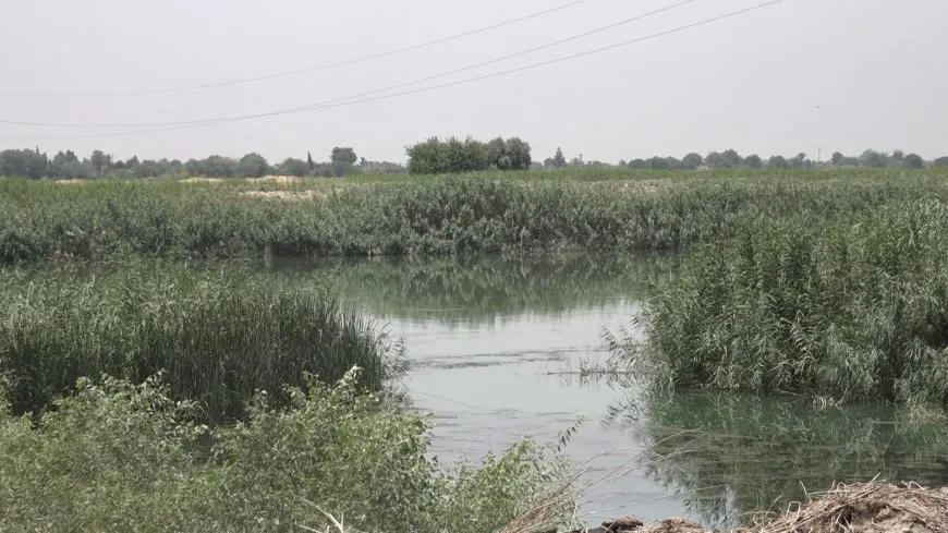 DAA: Nuevo proyecto de riego atiende a 220.000 dunams y ayuda a 270.000 personas
