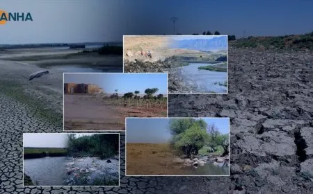 Evidencias y datos indican una peligrosa disminución de los recursos naturales dentro de la cesta de alimentos de Siria