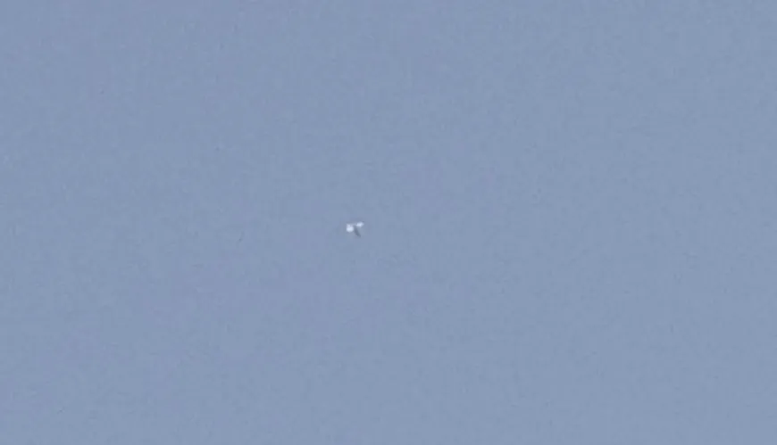 Un dron turco sobrevuela la región de Mexmûr
