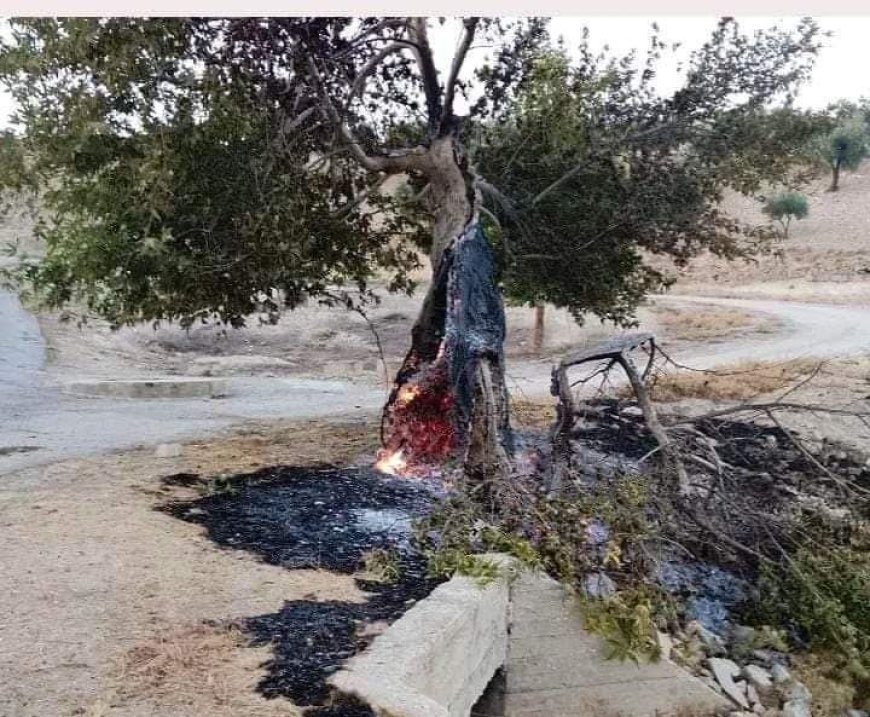 Continúan los secuestros y el genocidio en Afrin