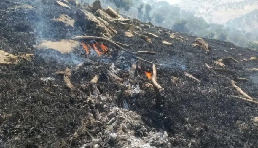 Nuevas zonas en el sur del Kurdistán afectadas por ataques de la ocupación turca