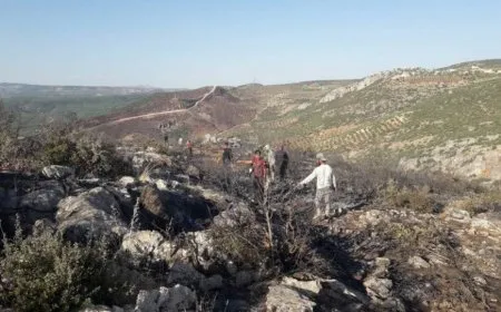 Jurista: quieren convertir Afrín en un desierto