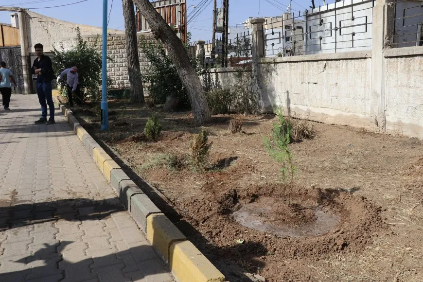 Los residentes plantan árboles en Qamishlo