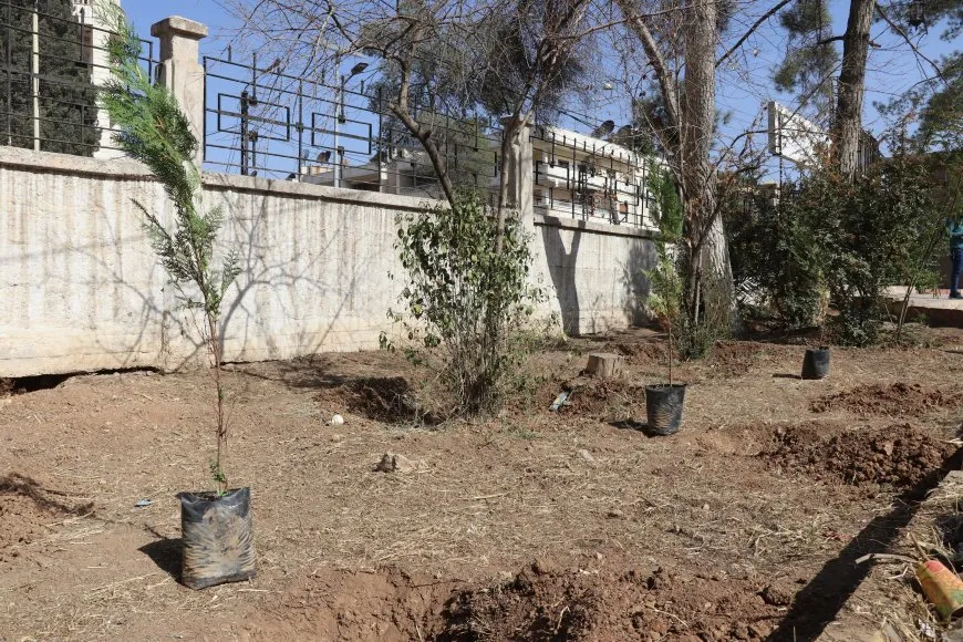 Los residentes plantan árboles en Qamishlo