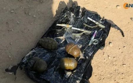 Las fuerzas de la operación "Seguridad duradera" encuentran bombas en el campamento de Al-Hol