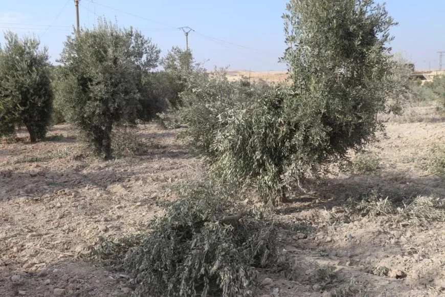 Los residentes de Aoun Al-Datat se aferran a sus hogares a pesar de la intensidad de los ataques