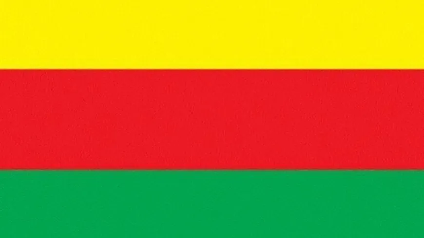 TEV DEM felicita al Kurdistán y al mundo por el 46 aniversario del PKK
