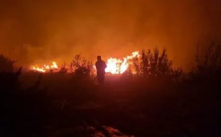 Incendios masivos en las montañas de la zona rural de Latakia