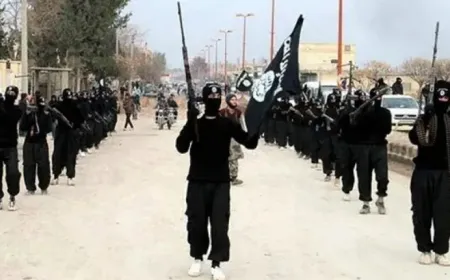 Investigador: para eliminar el ISIS, hay que enfrentarlo militarmente, en cuanto a la seguridad, intelectualment