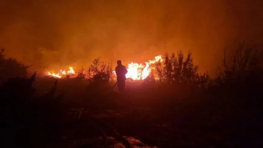 Incendios masivos en las montañas de la zona rural de Latakia
