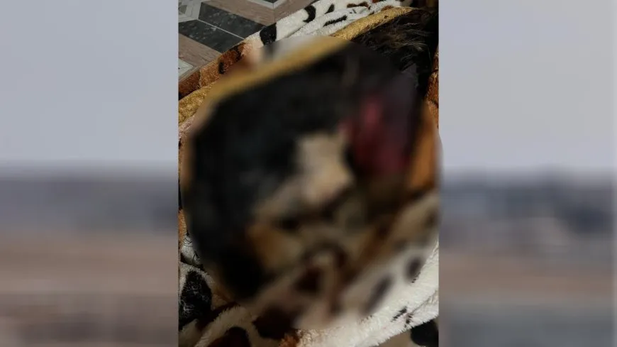 La ocupación turca comete una masacre en Kobani