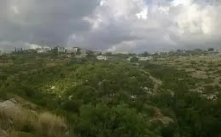 Después de la masacre, los residentes de la aldea en Baniyas pasan la noche en el bosque