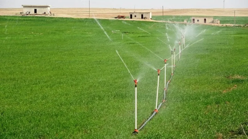 Cuatro cooperativas agrícolas comienzan a operar en Ain Issa