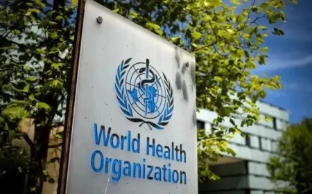 La OMS lanza una campaña de emergencia contra el cólera en Siria