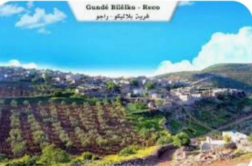 Los colonos asaltan la aldea de Mukhtar en el Afrin ocupado