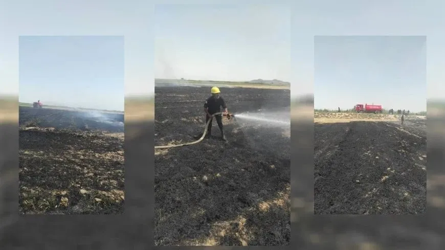 Se incendia un campo de maíz en Raqqa