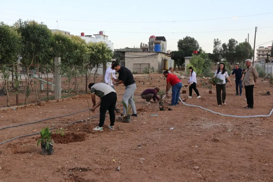 Los vecinos y el Comité de Medio Ambiente plantan árboles en Qamishlo