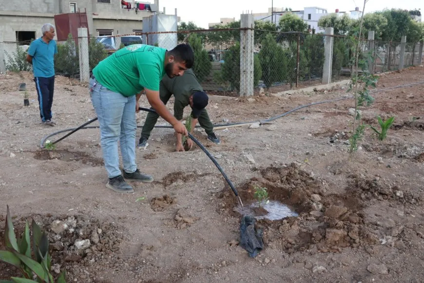 Los vecinos y el Comité de Medio Ambiente plantan árboles en Qamishlo