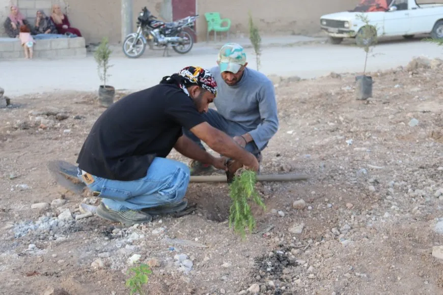 Los vecinos y el Comité de Medio Ambiente plantan árboles en Qamishlo