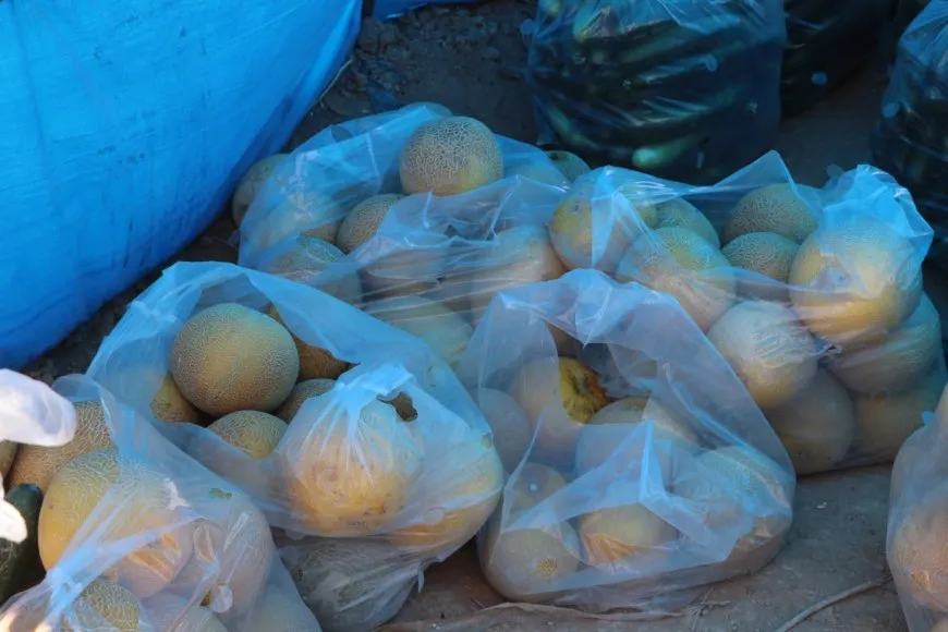  Las amenazas a la agricultura aumentan en las zonas rurales de Hasaka