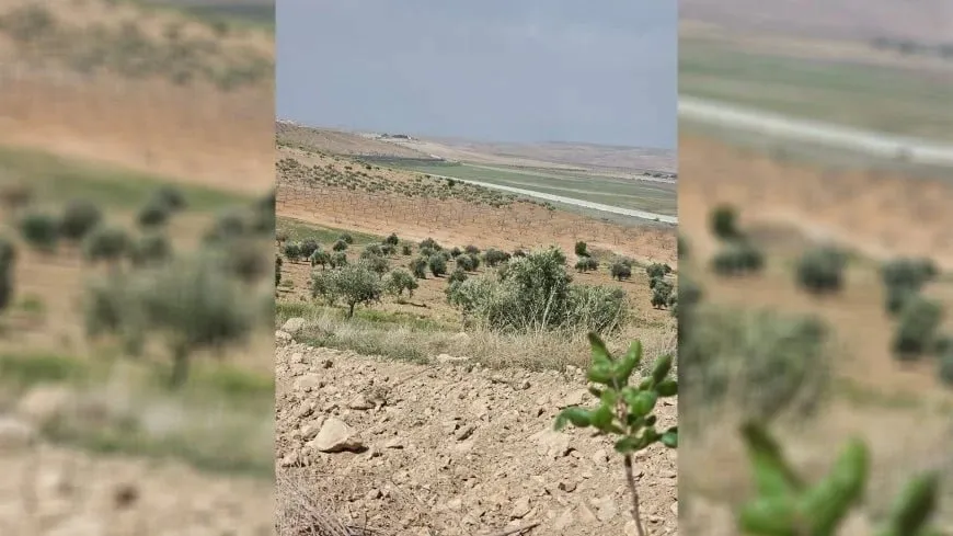  Soldados turcos disparan contra campesinos en una aldea de Kobanê