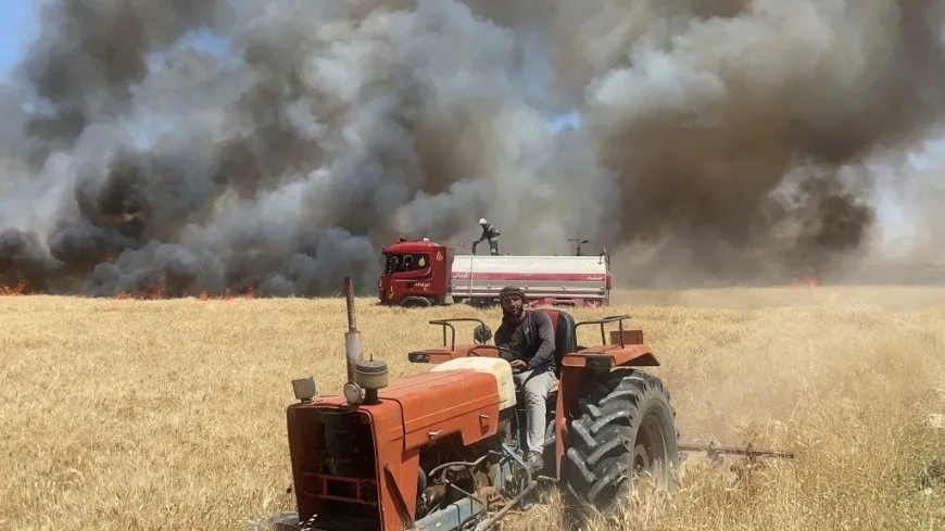 Arden 20 acres de trigo en las afueras de Kobanê