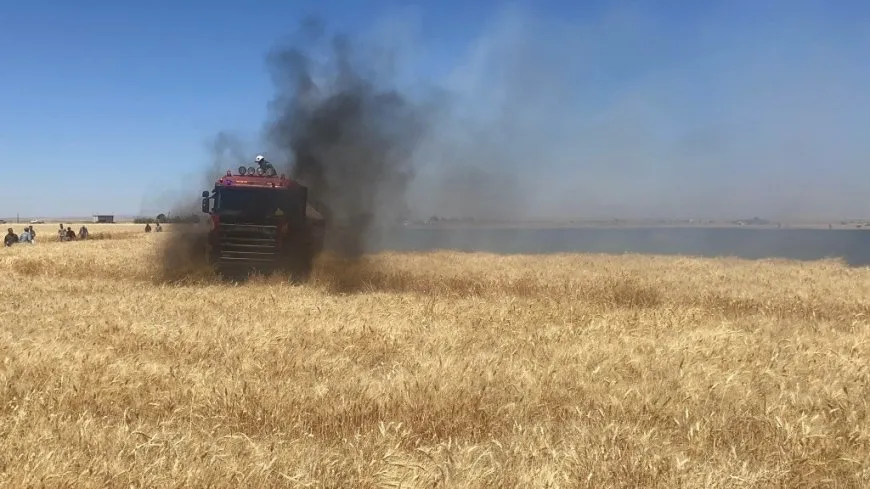 Arden 20 acres de trigo en las afueras de Kobanê