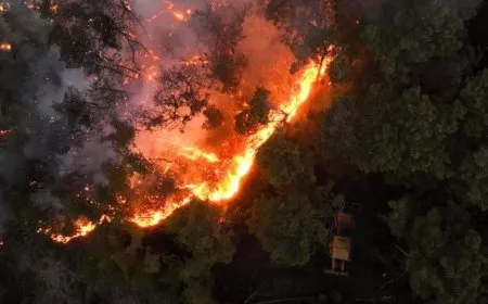 Siria solicita ayuda a la UE ante los incendios forestales