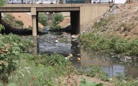 Organizaciones ecologistas: El proyecto de construcción de una presa en el río Chaqchaq debe cancelarse