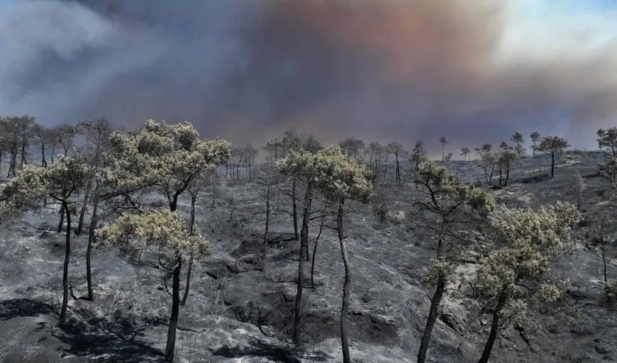 Las Naciones Unidas anuncian su disposición a apoyar los esfuerzos para extinguir los incendios de Latakia