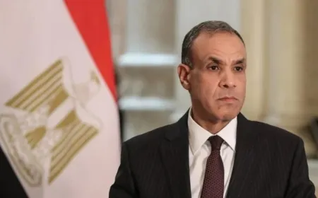 Ministro de Exteriores de Egipto: 15 políticos palestinos administrarán Gaza durante seis meses