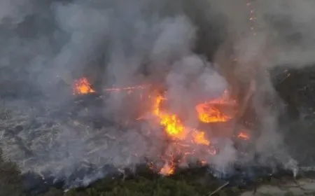Incendios en la costa siria: los residentes acusan al gobierno de reaccionar con lentitud ante la catástrofe