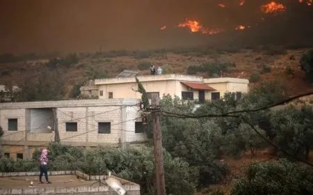 Incendios en Latakia y Hama se extienden a la zona rural de Homs por cuarto día consecutivo