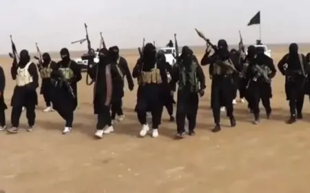 Experto egipcio advierte del resurgimiento de ISIS en medio de la ausencia de una estrategia internacional unificada