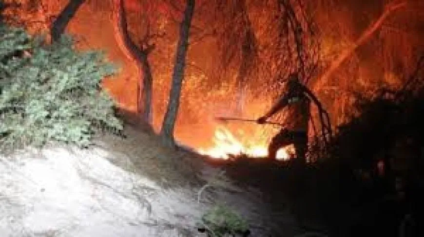 Los incendios forestales amenazan las aldeas en la llanura de al-Ghab, lo que provoca un desplazamiento limitado