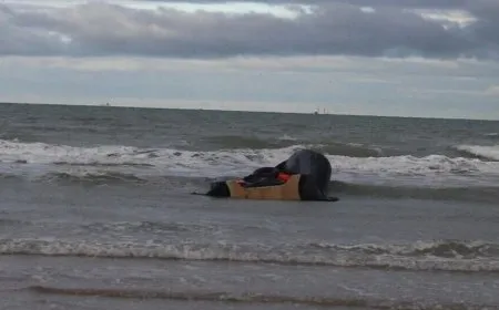 Nueva tragedia de refugiados en el Canal de la Mancha