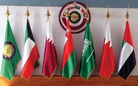 Consejo de Cooperación del Golfo: lo que ocurre en Gaza es un crimen de guerra