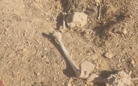 Hallado un cuerpo en Homs