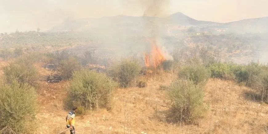 Los incendios en Latakia continúan desde hace 3 días