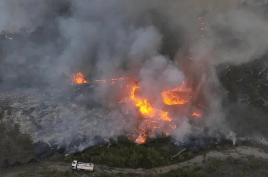 1600 incendios en Siria