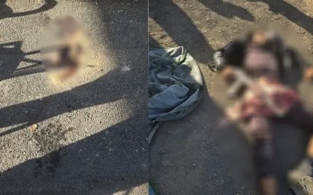 Dos civiles fallecen en un ataque armado a un puesto de control al este de Raqqa